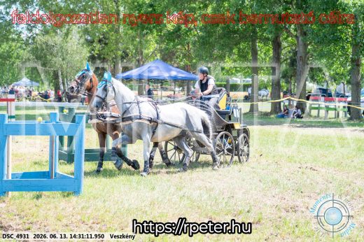 Mintakép 20260613-619