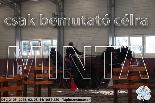 Mintakép 20260208-1281