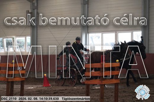 Mintakép 20260208-1282