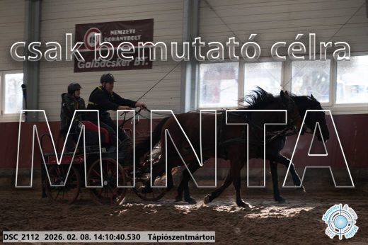 Mintakép 20260208-1284