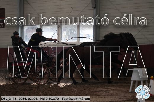 Mintakép 20260208-1285