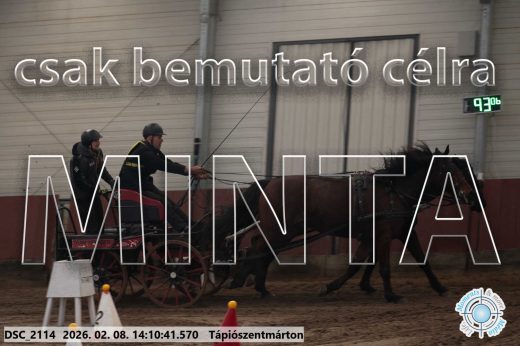 Mintakép 20260208-1286