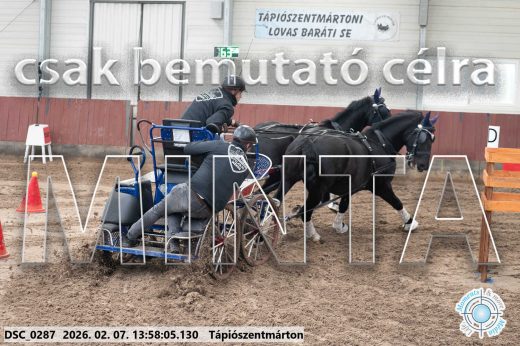 Mintakép 20260207-766