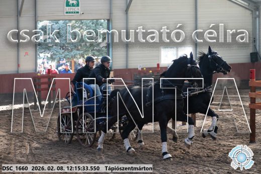 Mintakép 20260208-1291