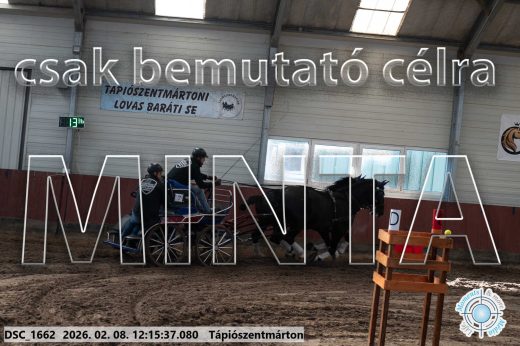 Mintakép 20260208-1293