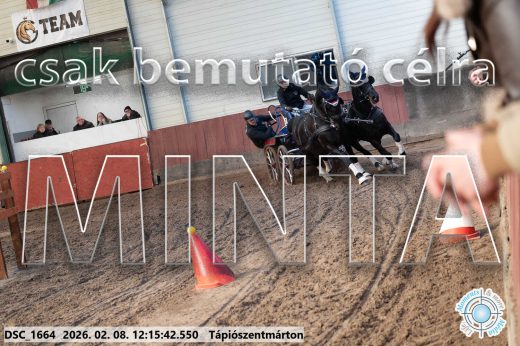 Mintakép 20260208-1295