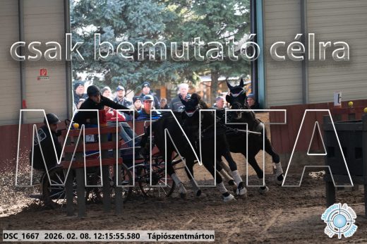 Mintakép 20260208-1296