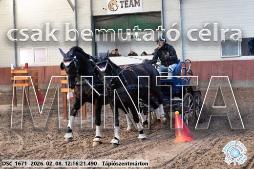 Mintakép 20260208-1300
