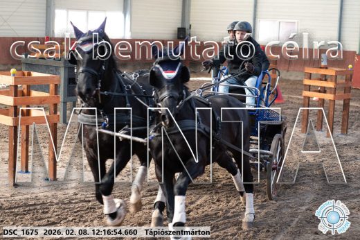 Mintakép 20260208-1304