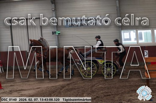 Mintakép 20260207-774