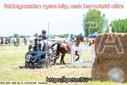 Mintakép 20260613-623