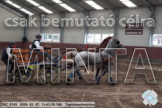 Mintakép 20260207-779