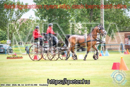 Mintakép 20260614-169