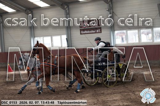 Mintakép 20260207-785