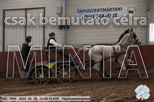 Mintakép 20260208-1321