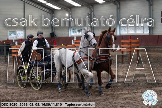 Mintakép 20260208-1323