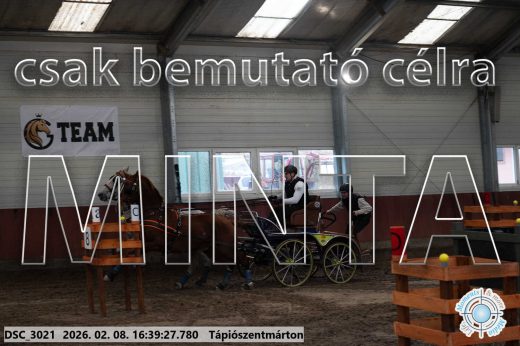 Mintakép 20260208-1324