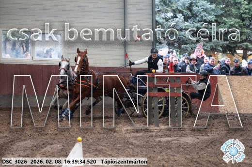 Mintakép 20260208-1329