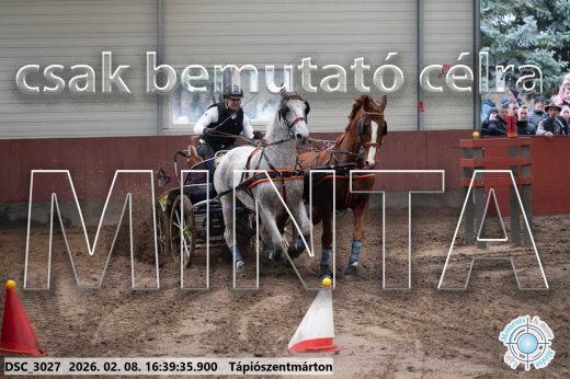 Mintakép 20260208-1330