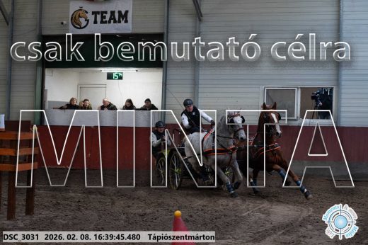 Mintakép 20260208-1334