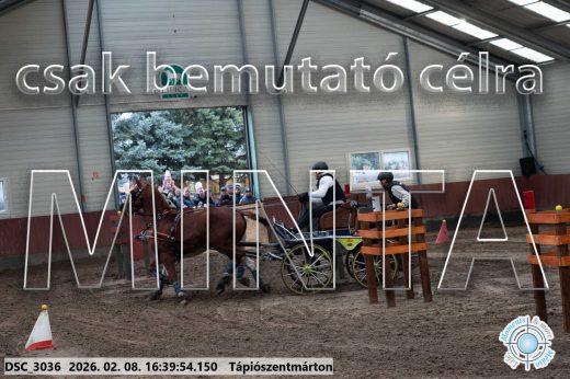 Mintakép 20260208-1337