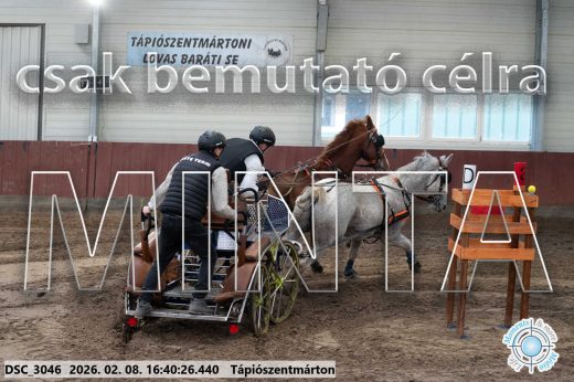 Mintakép 20260208-1345