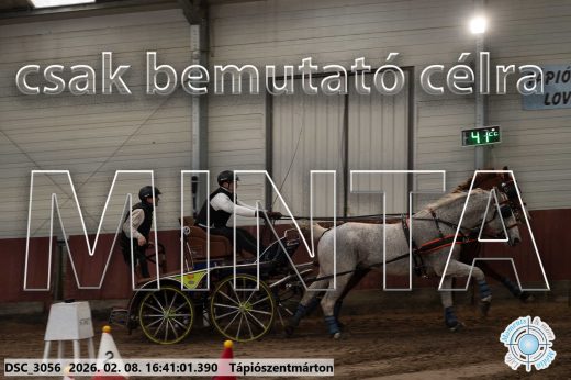 Mintakép 20260208-1355