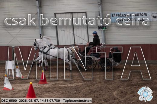 Mintakép 20260207-798