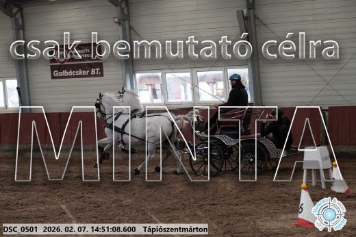 Mintakép 20260207-799