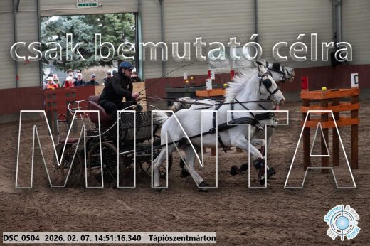 Mintakép 20260207-802