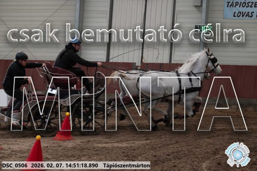 Mintakép 20260207-804