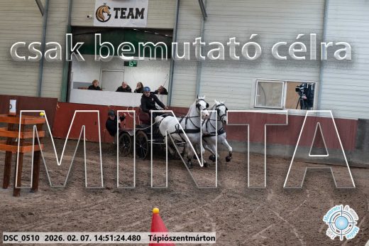 Mintakép 20260207-808