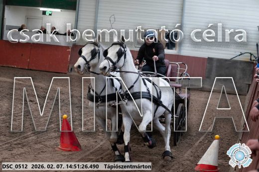 Mintakép 20260207-810