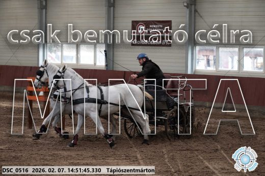 Mintakép 20260207-813