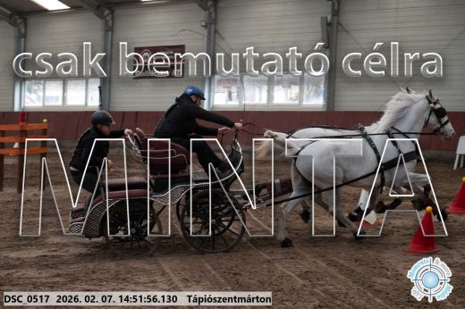 Mintakép 20260207-814