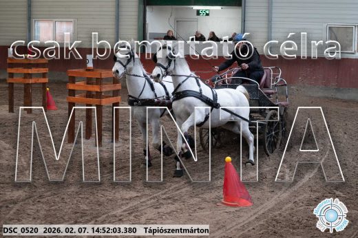 Mintakép 20260207-817