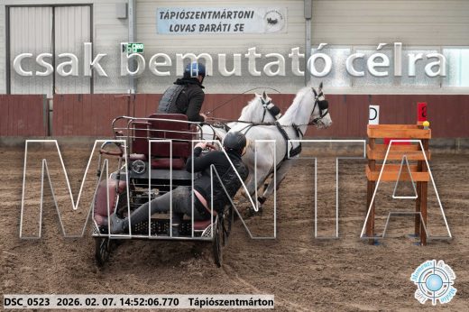 Mintakép 20260207-819