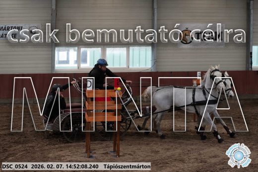 Mintakép 20260207-820
