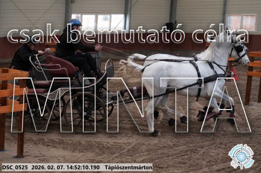 Mintakép 20260207-821