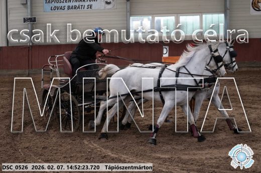 Mintakép 20260207-822