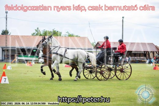Mintakép 20260614-178