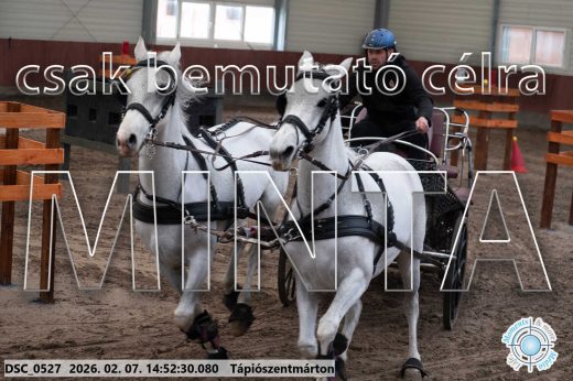 Mintakép 20260207-823