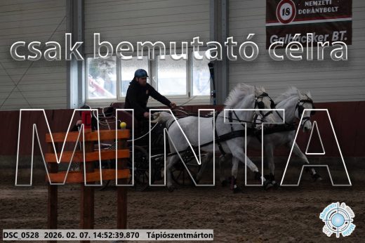 Mintakép 20260207-824