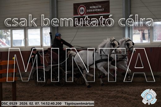 Mintakép 20260207-825