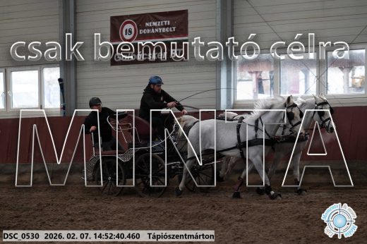 Mintakép 20260207-826