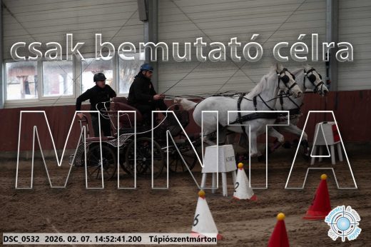 Mintakép 20260207-828