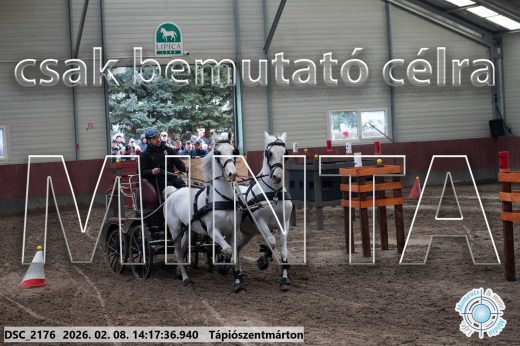 Mintakép 20260208-1357