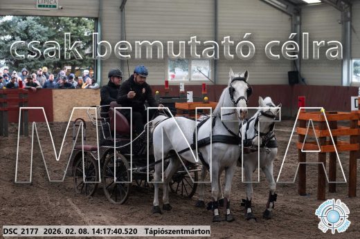 Mintakép 20260208-1358