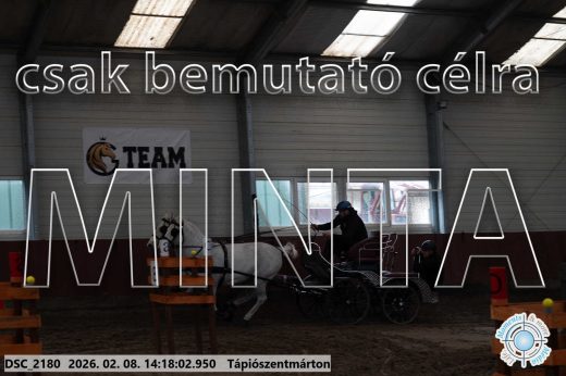 Mintakép 20260208-1361