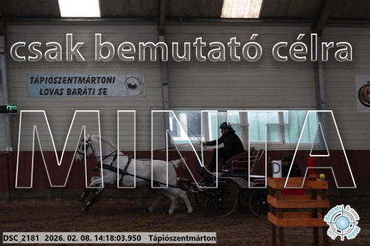 Mintakép 20260208-1362